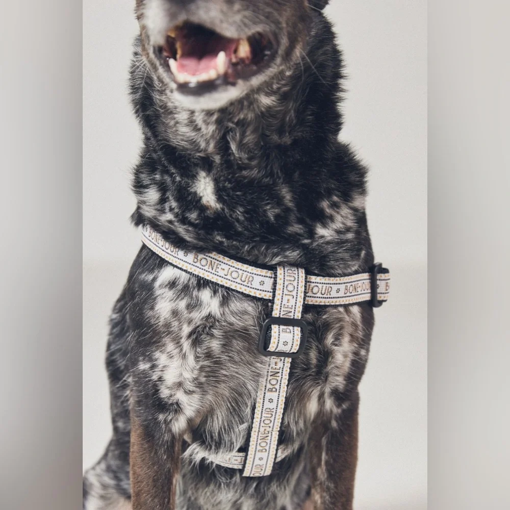 Anthropologie The Bistro Tile Dog Harness, LARGE NWT